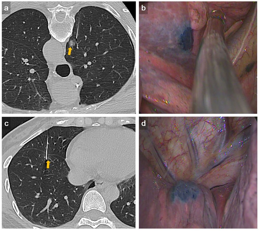 Trang Web Review Du Lịch Khám Phá Thế Giới Cá Cược Trực Tuyến Đỉnh Cao Sự Lựa Chọn Hoàn Hảo Cho Người Chơi Việt