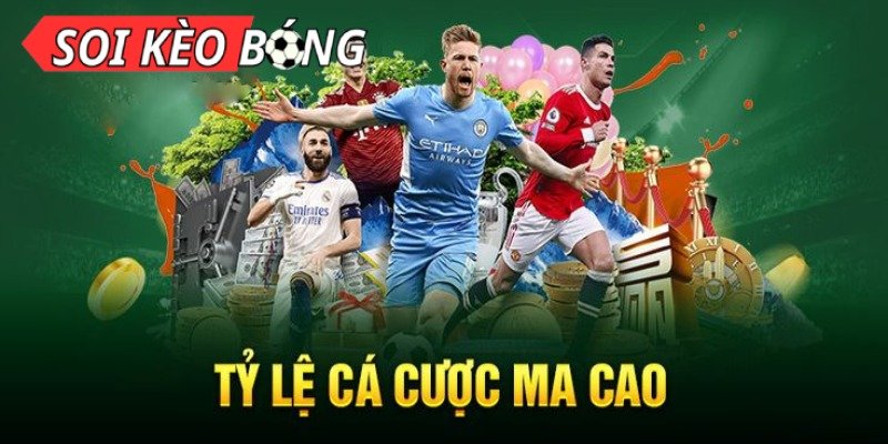 Bán Đất Thổ Cư Hôm Nay Hướng Dẫn Đầy Đủ Cho Người Mới